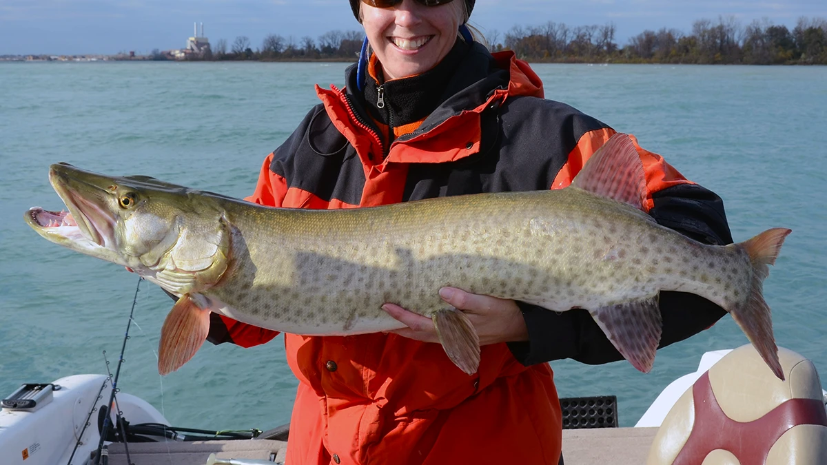 Muskie